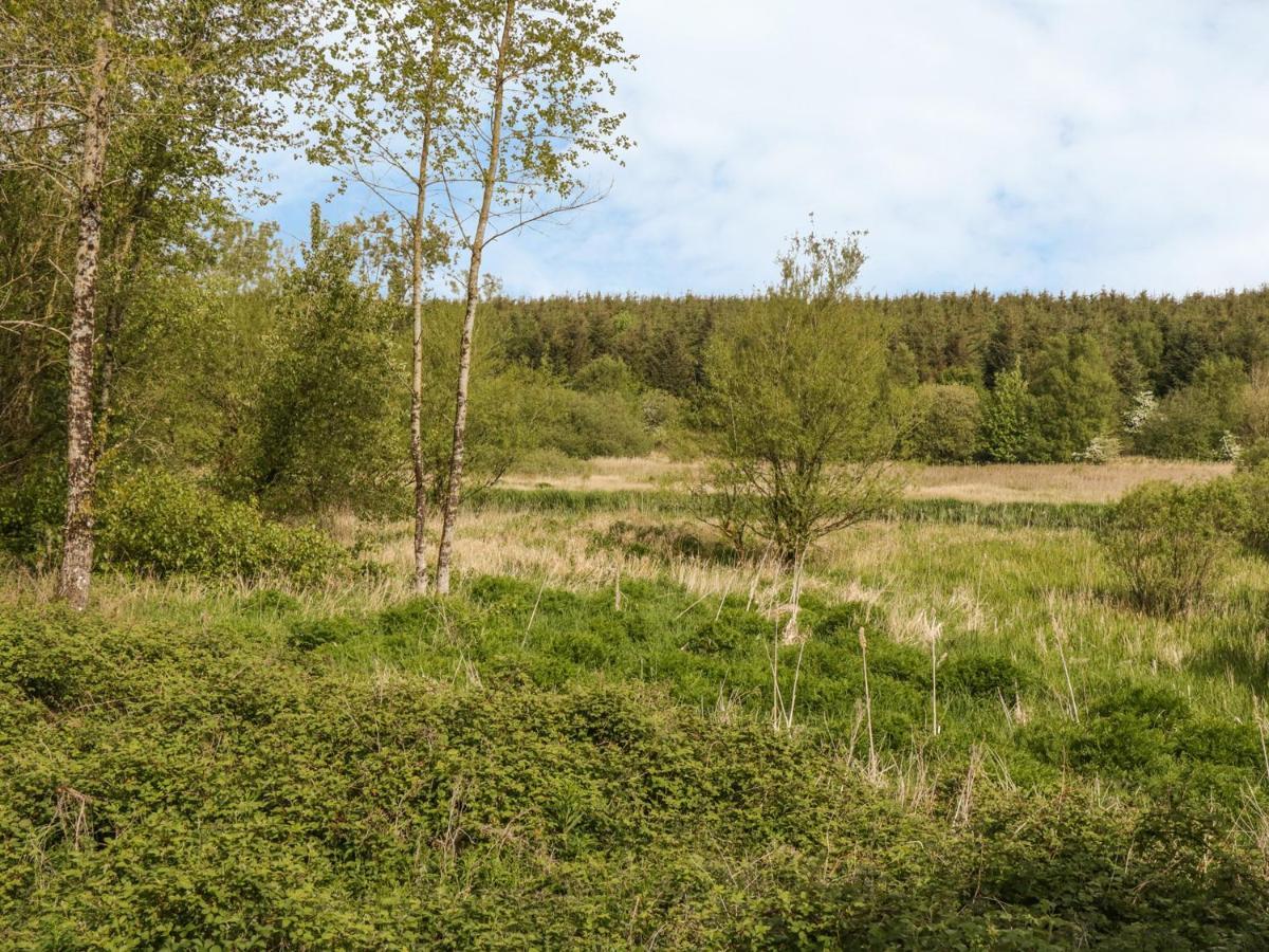 Bwlch Y Gwynt Bach Villa Llangefni Dış mekan fotoğraf